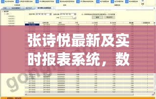 张诗悦最新及实时报表系统,数据管理效率的核心提升之道