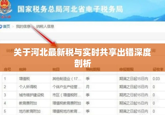 关于河北最新税与实时共享出错深度剖析