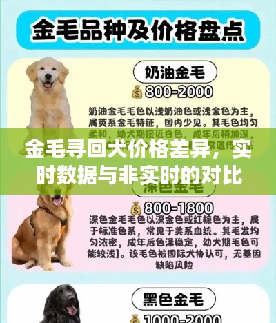 金毛寻回犬价格差异,实时数据与非实时的对比分析