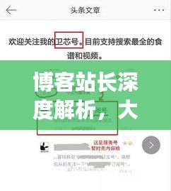 博客站长深度解析,大学生诈骗手段与实时用户偏好召回揭秘
