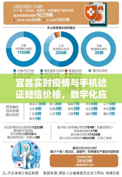 宜昌实时疫情与手机验证短信价格,数字化应对策略应对疫情挑战