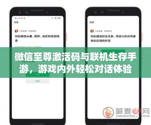 微信至尊激活码与联机生存手游,游戏内外轻松对话体验