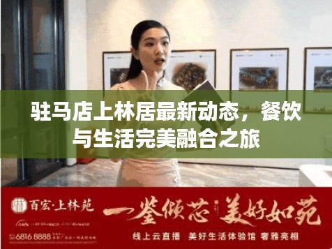 驻马店上林居最新动态,餐饮与生活完美融合之旅