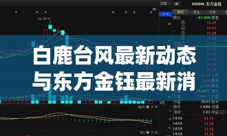 白鹿台风最新动态与东方金钰最新消息汇总