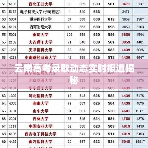 云南高考录取动态实时报道揭秘