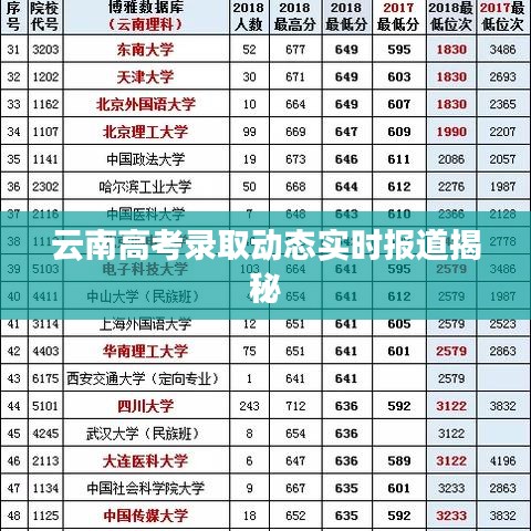 云南高考录取动态实时报道揭秘