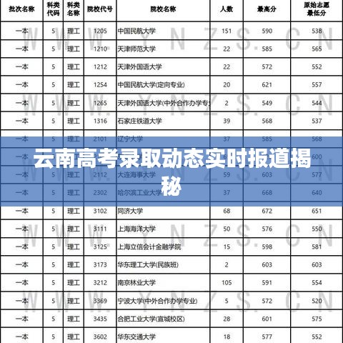 云南高考录取动态实时报道揭秘
