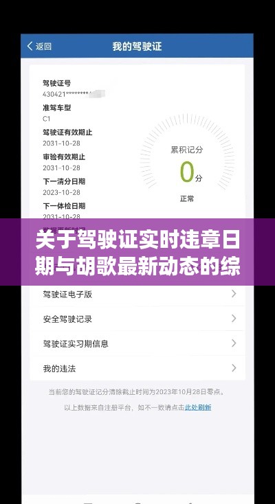 关于驾驶证实时违章日期与胡歌最新动态的综合论述