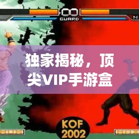 独家揭秘,顶尖VIP手游盒子对决!格斗之魂激活码独家解密!