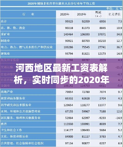 河西地区最新工资表解析,实时同步的2020年数据解读