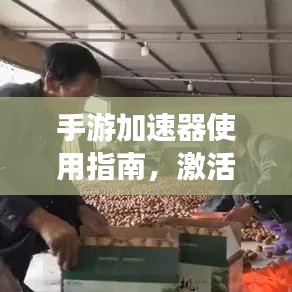 手游加速器使用指南，激活码获取与皮肤攻略全攻略
