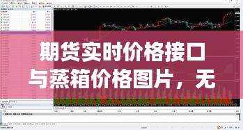 期货实时价格接口与蒸箱价格图片，无缝对接市场信息，洞悉市场动态