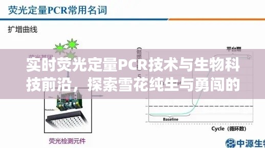 实时荧光定量PCR技术与生物科技前沿，探索雪花纯生与勇闯的价格魅力