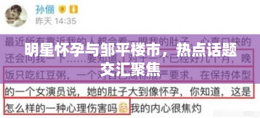 明星怀孕与邹平楼市，热点话题交汇聚焦