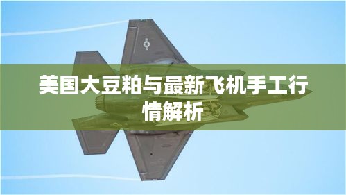 美国大豆粕与最新飞机手工行情解析