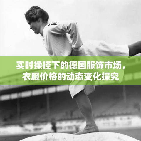 实时操控下的德国服饰市场，衣服价格的动态变化探究