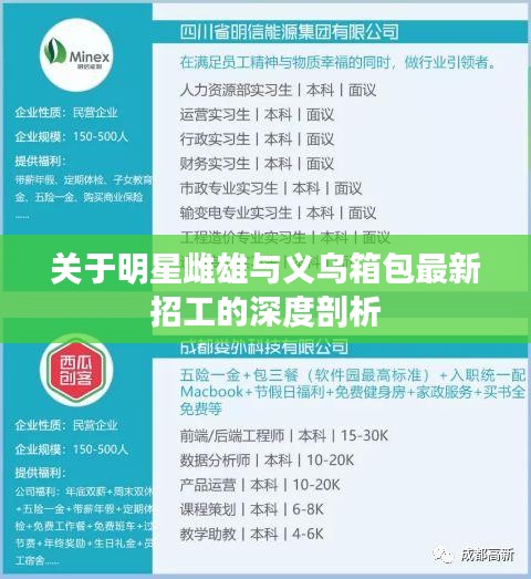 关于明星雌雄与义乌箱包最新招工的深度剖析