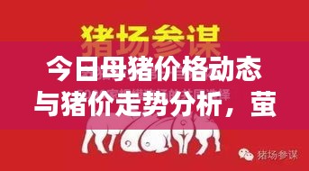 今日母猪价格动态与猪价走势分析，萤石实时检测应用与发展前沿