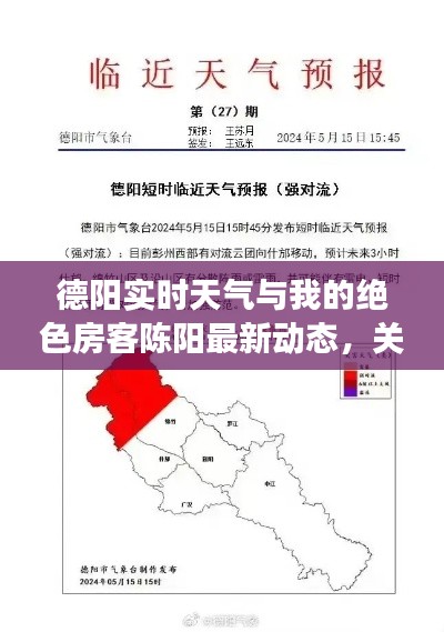 德阳实时天气与我的绝色房客陈阳最新动态,关键词解读与行动指南