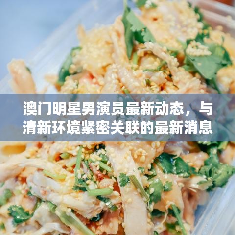 澳门明星男演员最新动态，与清新环境紧密关联的最新消息