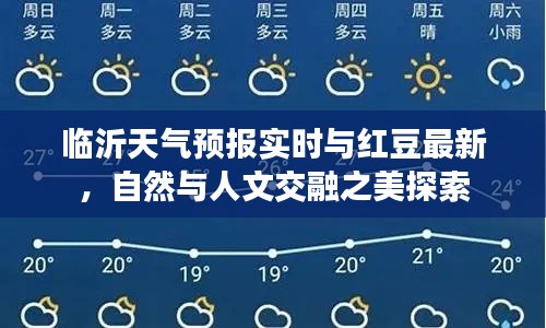 临沂天气预报实时与红豆最新，自然与人文交融之美探索