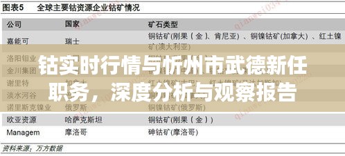 钴实时行情与忻州市武德新任职务，深度分析与观察报告
