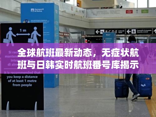全球航班最新动态，无症状航班与日韩实时航班番号库揭示旅行新趋势
