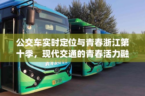 公交车实时定位与青春浙江第十季，现代交通的青春活力融合之旅