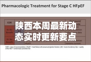 陕西本周最新动态实时更新要点概览