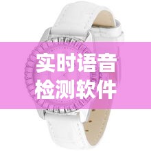 实时语音检测软件与欧米茄贝壳盘女表价格交汇观察