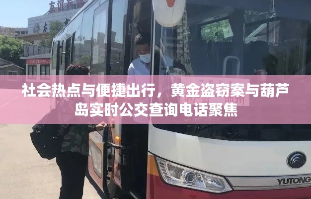 社会热点与便捷出行，黄金盗窃案与葫芦岛实时公交查询电话聚焦