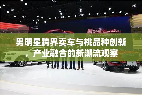 男明星跨界卖车与桃品种创新，产业融合的新潮流观察