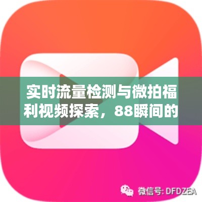 实时流量检测与微拍福利视频探索，88瞬间的魅力