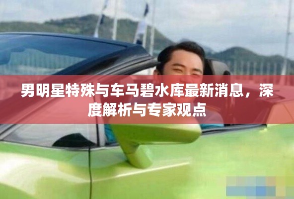男明星特殊与车马碧水库最新消息，深度解析与专家观点