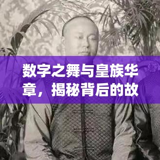 数字之舞与皇族华章，揭秘背后的故事