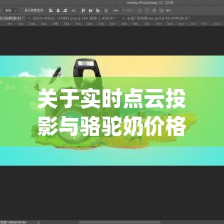 关于实时点云投影与骆驼奶价格探讨