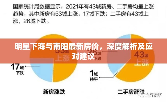 明星下海与南阳最新房价，深度解析及应对建议