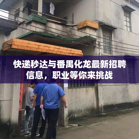 快递秒达与番禺化龙最新招聘信息，职业等你来挑战
