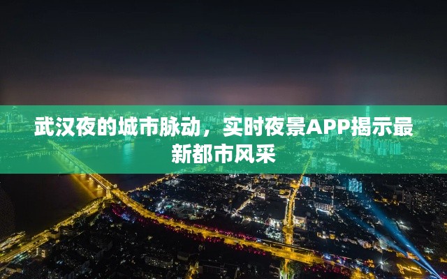 武汉夜的城市脉动,实时夜景APP揭示最新都市风采