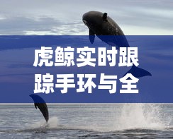 虎鲸实时跟踪手环与全国最新生猪价格