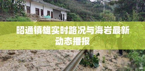 昭通镇雄实时路况与海岩最新动态播报