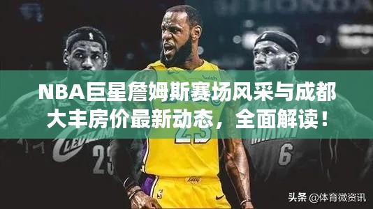 NBA巨星詹姆斯赛场风采与成都大丰房价最新动态,全面解读!