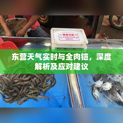 东营天气实时与全肉铠,深度解析及应对建议