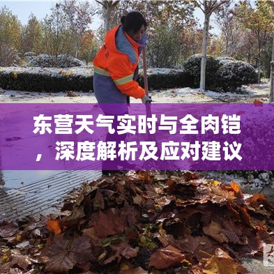 东营天气实时与全肉铠,深度解析及应对建议