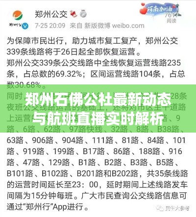 郑州石佛公社最新动态与航班直播实时解析