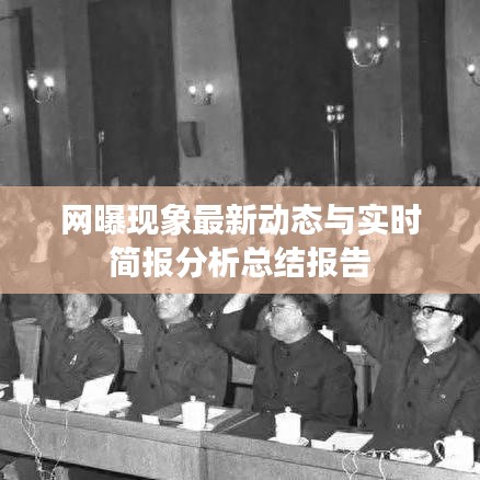 网曝现象最新动态与实时简报分析总结报告