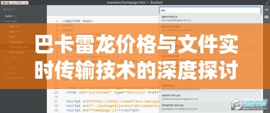 巴卡雷龙价格与文件实时传输技术的深度探讨，关联探析