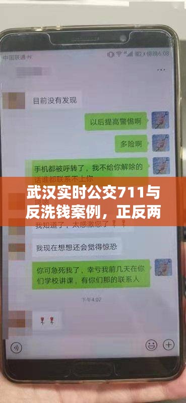 武汉实时公交711与反洗钱案例,正反两面视角下的深度探讨与启示