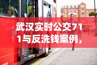武汉实时公交711与反洗钱案例,正反两面视角下的深度探讨与启示