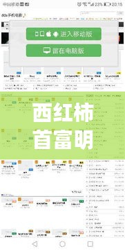 西红柿首富明星阵容与交强险赔付标准解读，全面揭秘与一文知晓！